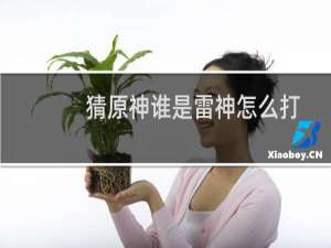 猜原神谁是雷神怎么打