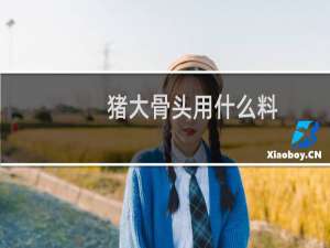 猪大骨头用什么料