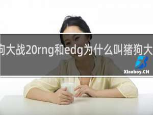 猪狗大战 rng和edg为什么叫猪狗大战什么梗