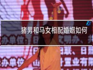 猪男和马女相配婚姻如何