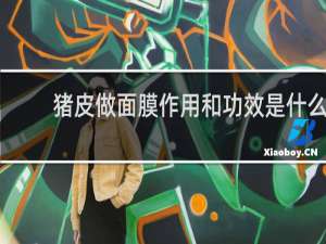 猪皮做面膜作用和功效是什么