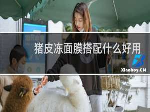 猪皮冻面膜搭配什么好用