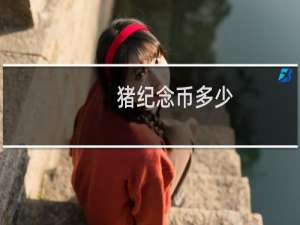 猪纪念币多少