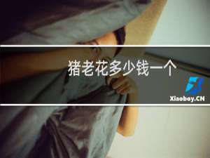 猪老花多少钱一个