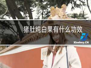 猪肚炖白果有什么功效
