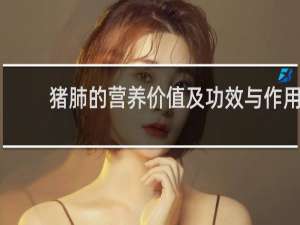 猪肺的营养价值及功效与作用