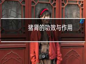 猪肾的功效与作用（猪肾的做法）