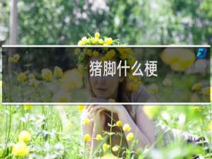 猪脚什么梗