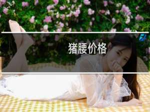 猪腰价格