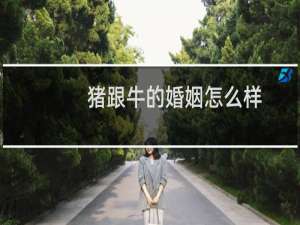 猪跟牛的婚姻怎么样