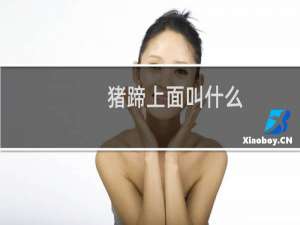 猪蹄上面叫什么