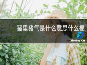 猪里猪气是什么意思什么梗