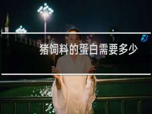 猪饲料的蛋白需要多少