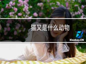 猫又是什么动物