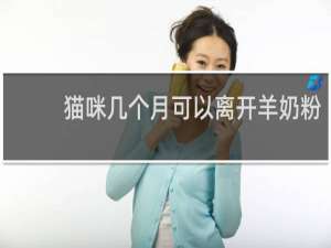 猫咪几个月可以离开羊奶粉