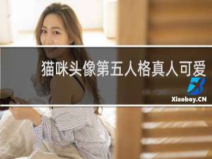 猫咪头像第五人格真人可爱