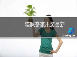 猫咪奇葩出装最新