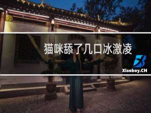 猫咪舔了几口冰激凌
