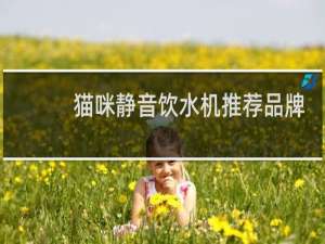 猫咪静音饮水机推荐品牌