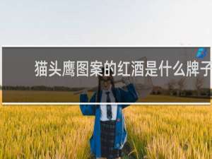猫头鹰图案的红酒是什么牌子