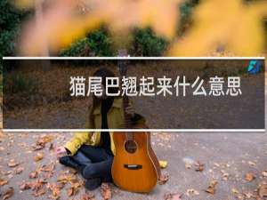 猫尾巴翘起来什么意思