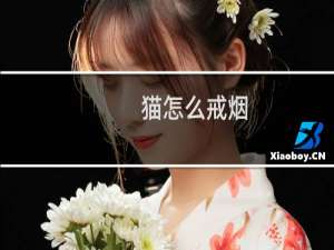 猫怎么戒烟