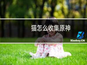 猫怎么收集原神