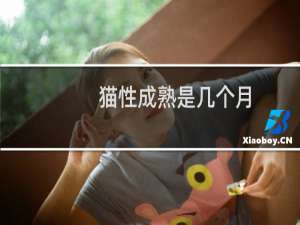 猫性成熟是几个月