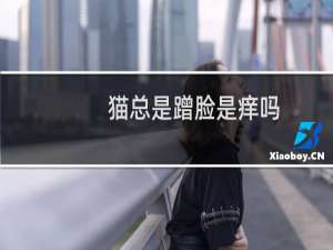 猫总是蹭脸是痒吗