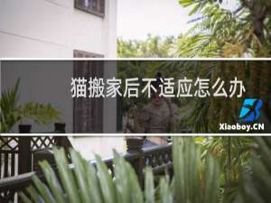 猫搬家后不适应怎么办