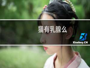 猫有乳腺么