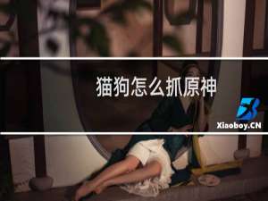猫狗怎么抓原神