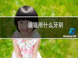 猫猫用什么牙刷