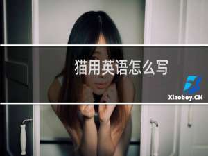 猫用英语怎么写