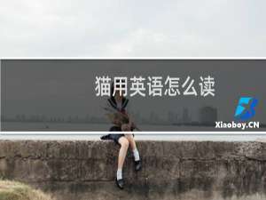 猫用英语怎么读