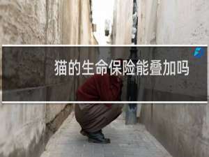 猫的生命保险能叠加吗