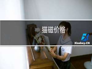 猫磁价格