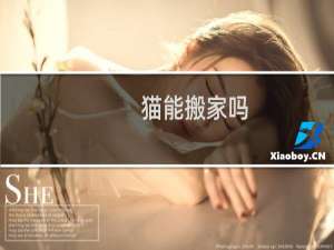猫能搬家吗