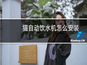 猫自动饮水机怎么安装