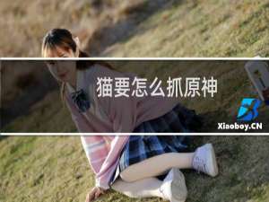 猫要怎么抓原神