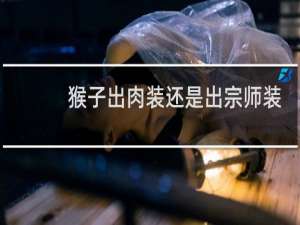 猴子出肉装还是出宗师装