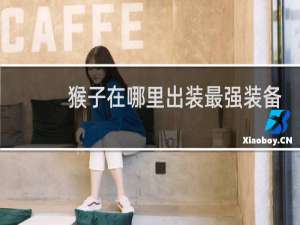 猴子在哪里出装最强装备