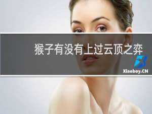 猴子有没有上过云顶之弈