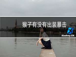 猴子有没有出装暴击