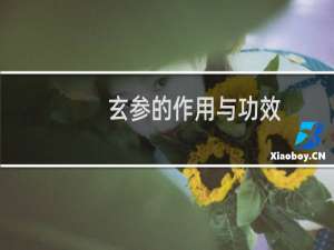 玄参的作用与功效