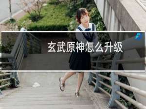 玄武原神怎么升级