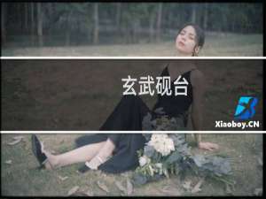 玄武砚台