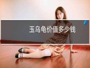 玉乌龟价值多少钱