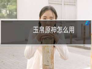 玉帛原神怎么用