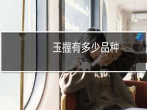 玉握有多少品种